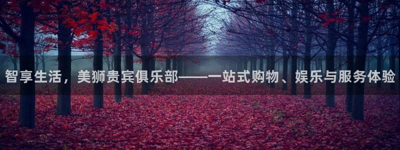 澳客官网旧版：智享生活，美狮贵宾俱乐部——一站式购物、娱乐与服务体验