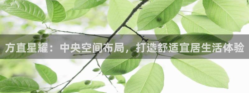 okooo澳客网ok：方直星耀：中央空间布局，打造舒适宜居生活体验
