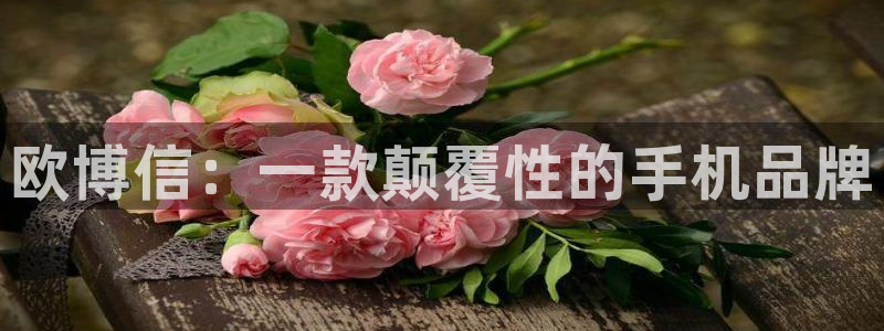 下载澳客app：欧博信：一款颠覆性的手机品牌