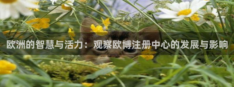 澳客网网：欧洲的智慧与活力：观察欧博注册中心的发展与影响
