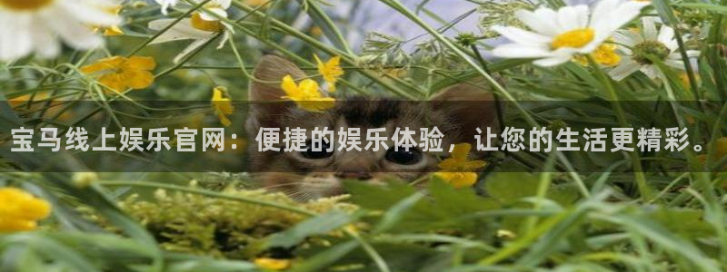澳客网世界杯：宝马线上娱乐官网：便捷的娱乐体验，让您的生活更精彩。