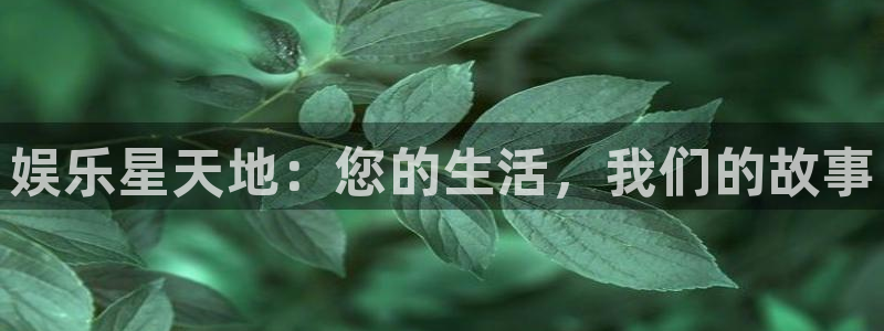 澳客官网站：娱乐星天地：您的生活，我们的故事