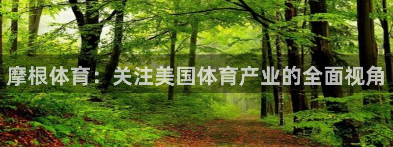 澳客竞彩官网在线app：摩根体育：关注美国体育产业的全面视角