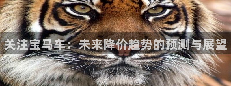 澳客网最快最准比分直播：关注宝马车：未来降价趋势的预测与展望