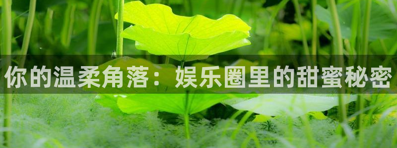 澳客比分最准最快：你的温柔角落：娱乐圈里的甜蜜秘密