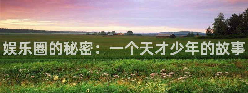 足球即时比分澳客网：娱乐圈的秘密：一个天才少年的故事