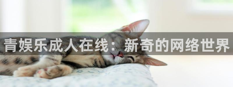 澳客娱乐：青娱乐成人在线：新奇的网络世界