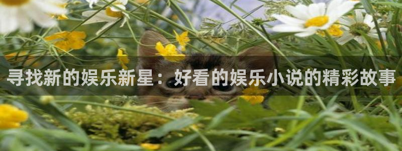 旧版澳客手机版：寻找新的娱乐新星：好看的娱乐小说的精彩故事