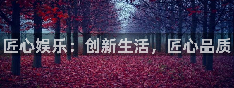 澳客比分竞彩网：匠心娱乐：创新生活，匠心品质