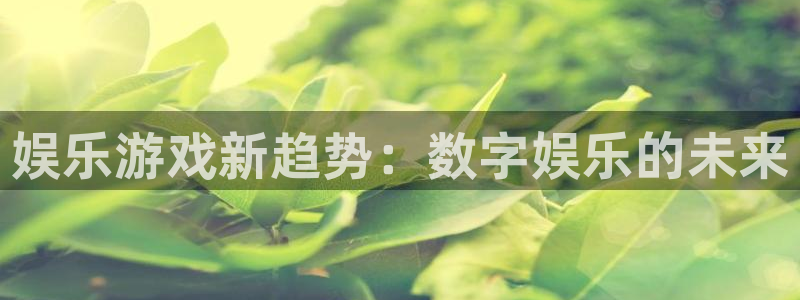 澳客网旧版手机版：娱乐游戏新趋势：数字娱乐的未来