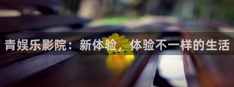 十四场胜负澳客官网：青娱乐影院：新体验，体验不一样的生活