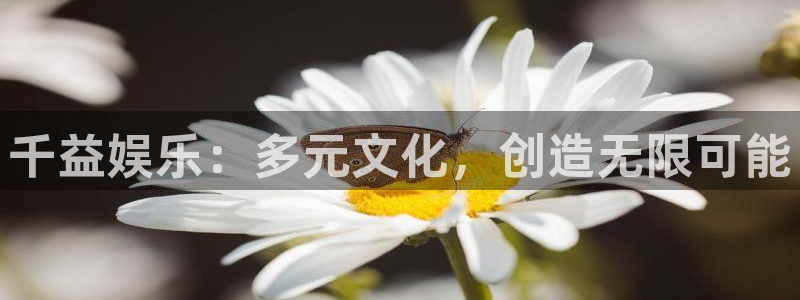 澳客app手机版下载：千益娱乐：多元文化，创造无限可能