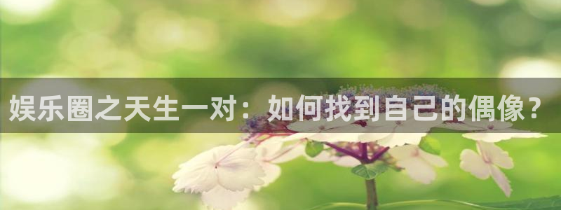 澳客网app下载安装：娱乐圈之天生一对：如何找到自己的偶像？
