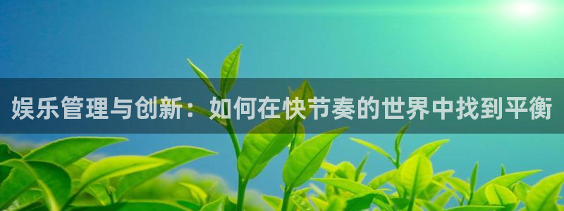 澳客足球网胜负：娱乐管理与创新：如何在快节奏的世界中找到平衡