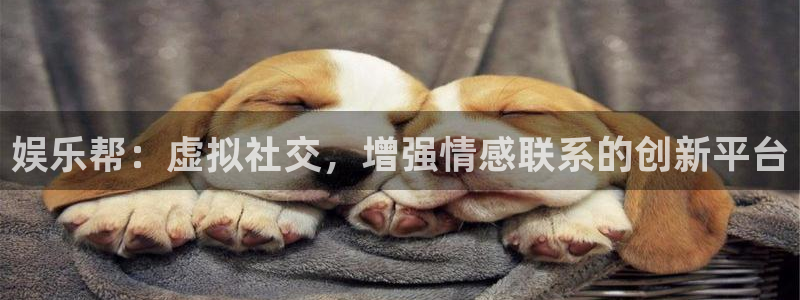 澳客app安卓下载：娱乐帮：虚拟社交，增强情感联系的创新平台