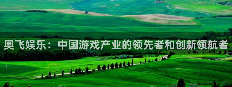 澳客官网首页^：奥飞娱乐：中国游戏产业的领先者和创新领航者