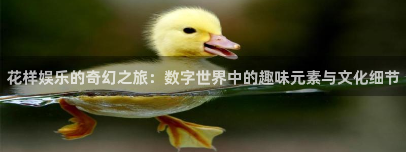 人民澳客：花样娱乐的奇幻之旅：数字世界中的趣味元素与文化细节