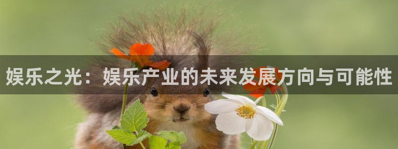 14场澳客官网：娱乐之光：娱乐产业的未来发展方向与可能性