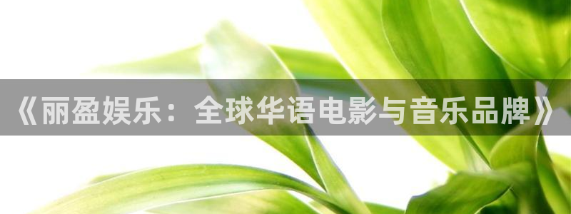 okooo澳客手机版：《丽盈娱乐：全球华语电影与音乐品牌》