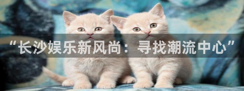 旧版澳客手机版：“长沙娱乐新风尚：寻找潮流中心”