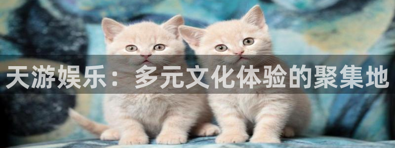 澳客中国竞彩网官网：天游娱乐：多元文化体验的聚集地