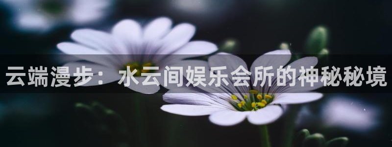 竞彩澳客比分结果：云端漫步：水云间娱乐会所的神秘秘境