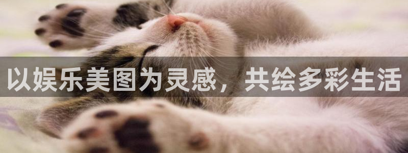 胜负14场澳客官网：以娱乐美图为灵感，共绘多彩生活