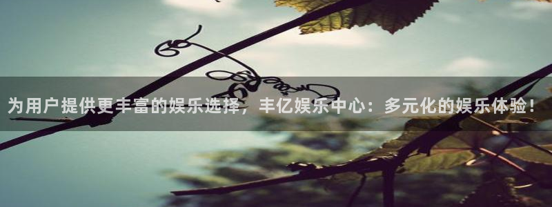 澳客比分直播：为用户提供更丰富的娱乐选择，丰亿娱乐中心：多元化的娱乐体验！
