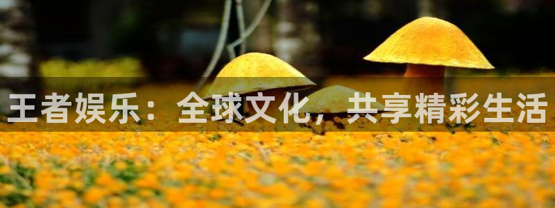 okooo澳客官网：王者娱乐：全球文化，共享精彩生活