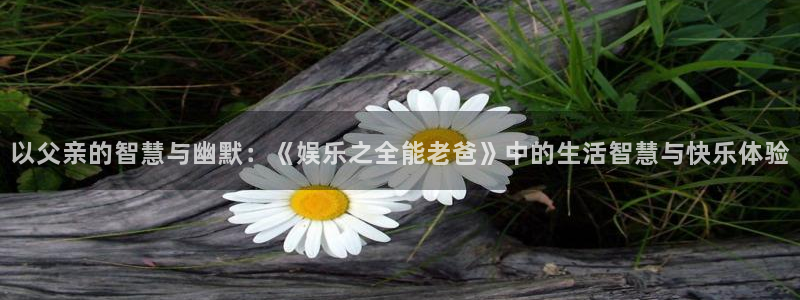 澳客网平台：以父亲的智慧与幽默：《娱乐之全能老爸》中的生活智慧与快乐体验